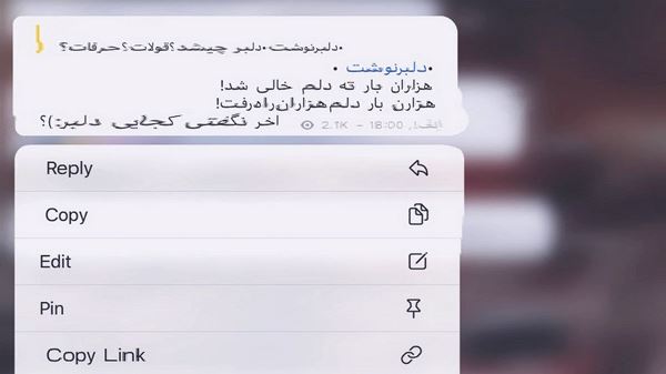شدی باهام غریبه یهو یکی شدی که اصن شبیه نی به تو